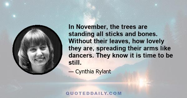 In November, the trees are standing all sticks and bones. Without their leaves, how lovely they are, spreading their arms like dancers. They know it is time to be still.