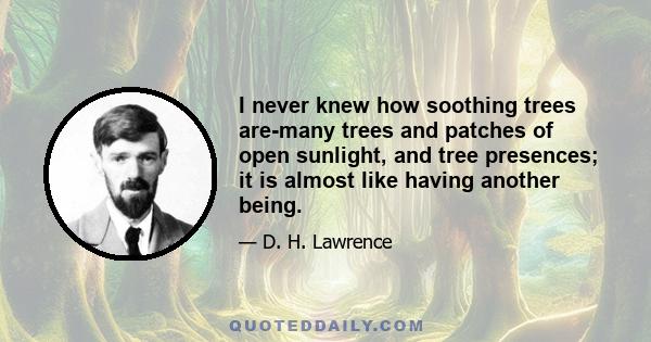 I never knew how soothing trees are-many trees and patches of open sunlight, and tree presences; it is almost like having another being.