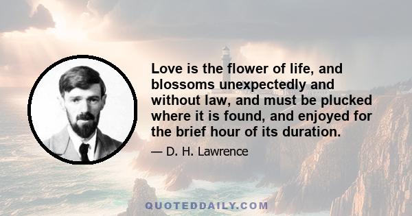 Love is the flower of life, and blossoms unexpectedly and without law, and must be plucked where it is found, and enjoyed for the brief hour of its duration.