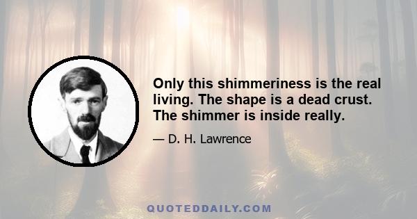 Only this shimmeriness is the real living. The shape is a dead crust. The shimmer is inside really.