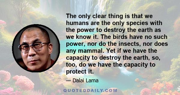 The only clear thing is that we humans are the only species with the power to destroy the earth as we know it. The birds have no such power, nor do the insects, nor does any mammal. Yet if we have the capacity to