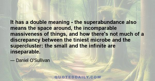 It has a double meaning - the superabundance also means the space around, the incomparable massiveness of things, and how there's not much of a discrepancy between the tiniest microbe and the supercluster: the small and