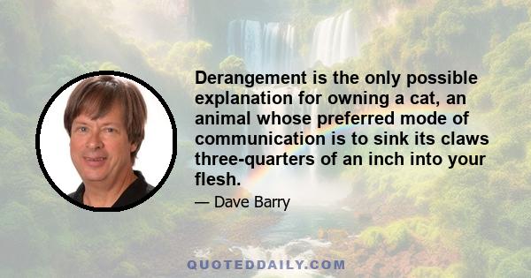 Derangement is the only possible explanation for owning a cat, an animal whose preferred mode of communication is to sink its claws three-quarters of an inch into your flesh.
