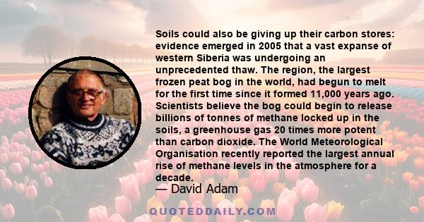 Soils could also be giving up their carbon stores: evidence emerged in 2005 that a vast expanse of western Siberia was undergoing an unprecedented thaw. The region, the largest frozen peat bog in the world, had begun to