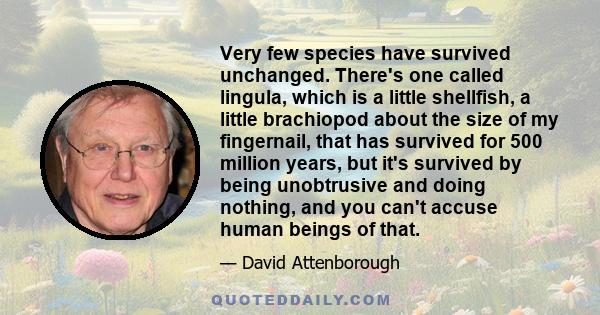 Very few species have survived unchanged. There's one called lingula, which is a little shellfish, a little brachiopod about the size of my fingernail, that has survived for 500 million years, but it's survived by being