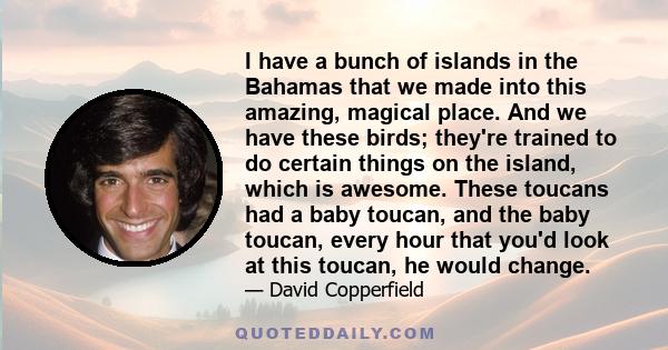 I have a bunch of islands in the Bahamas that we made into this amazing, magical place. And we have these birds; they're trained to do certain things on the island, which is awesome. These toucans had a baby toucan, and