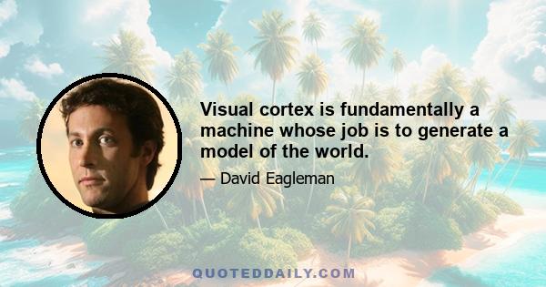 Visual cortex is fundamentally a machine whose job is to generate a model of the world.
