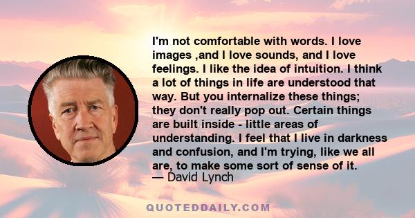 I'm not comfortable with words. I love images ,and I love sounds, and I love feelings. I like the idea of intuition. I think a lot of things in life are understood that way. But you internalize these things; they don't