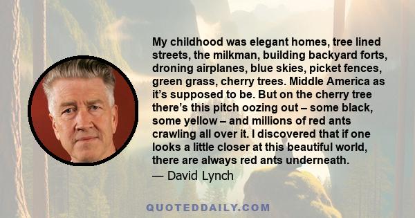 My childhood was elegant homes, tree lined streets, the milkman, building backyard forts, droning airplanes, blue skies, picket fences, green grass, cherry trees. Middle America as it’s supposed to be. But on the cherry