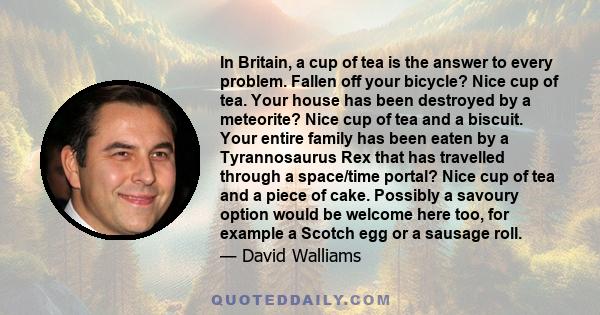In Britain, a cup of tea is the answer to every problem. Fallen off your bicycle? Nice cup of tea. Your house has been destroyed by a meteorite? Nice cup of tea and a biscuit. Your entire family has been eaten by a