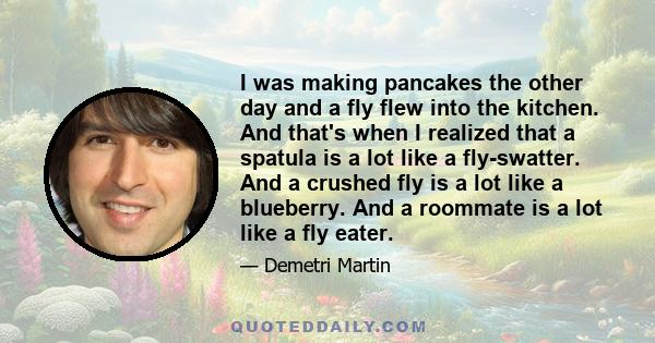 I was making pancakes the other day and a fly flew into the kitchen. And that's when I realized that a spatula is a lot like a fly-swatter. And a crushed fly is a lot like a blueberry. And a roommate is a lot like a fly