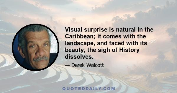 Visual surprise is natural in the Caribbean; it comes with the landscape, and faced with its beauty, the sigh of History dissolves.