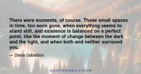 There were moments, of course. Those small spaces in time, too soon gone, when everything seems to stand still, and existence is balanced on a perfect point, like the moment of change between the dark and the light, and