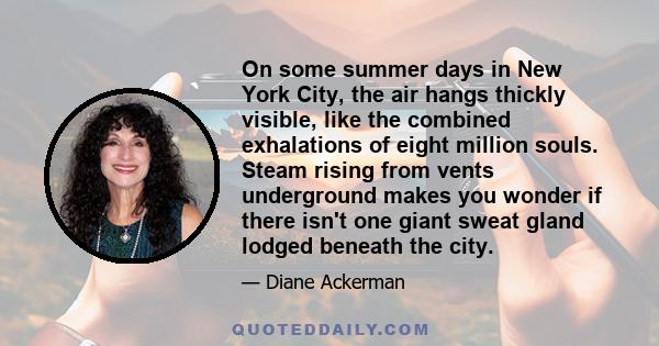 On some summer days in New York City, the air hangs thickly visible, like the combined exhalations of eight million souls. Steam rising from vents underground makes you wonder if there isn't one giant sweat gland lodged