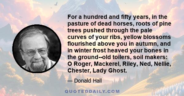 For a hundred and fifty years, in the pasture of dead horses, roots of pine trees pushed through the pale curves of your ribs, yellow blossoms flourished above you in autumn, and in winter frost heaved your bones in the