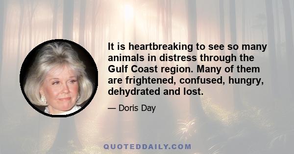 It is heartbreaking to see so many animals in distress through the Gulf Coast region. Many of them are frightened, confused, hungry, dehydrated and lost.