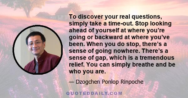 To discover your real questions, simply take a time-out. Stop looking ahead of yourself at where you’re going or backward at where you’ve been. When you do stop, there’s a sense of going nowhere. There’s a sense of gap,