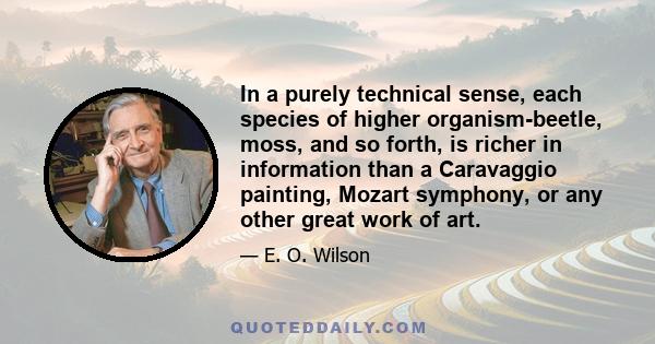 In a purely technical sense, each species of higher organism-beetle, moss, and so forth, is richer in information than a Caravaggio painting, Mozart symphony, or any other great work of art.