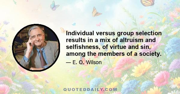 Individual versus group selection results in a mix of altruism and selfishness, of virtue and sin, among the members of a society.