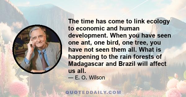 The time has come to link ecology to economic and human development. When you have seen one ant, one bird, one tree, you have not seen them all. What is happening to the rain forests of Madagascar and Brazil will affect