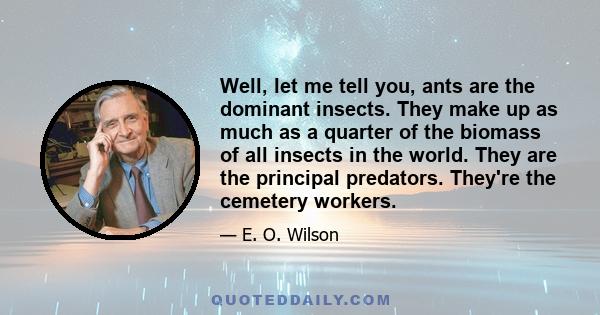 Well, let me tell you, ants are the dominant insects. They make up as much as a quarter of the biomass of all insects in the world. They are the principal predators. They're the cemetery workers.