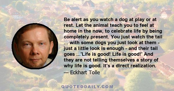 Be alert as you watch a dog at play or at rest. Let the animal teach you to feel at home in the now, to celebrate life by being completely present. You just watch the tail ... with some dogs you just look at them - just
