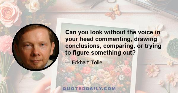 Can you look without the voice in your head commenting, drawing conclusions, comparing, or trying to figure something out?