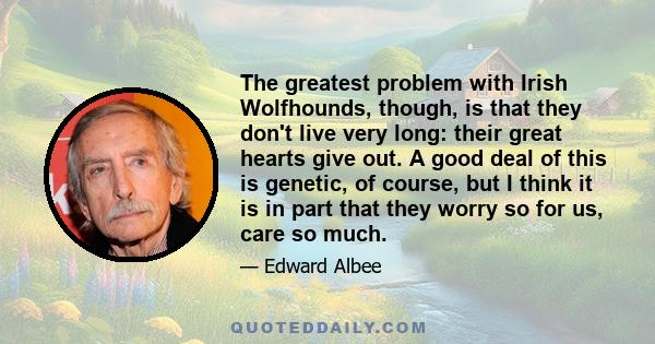 The greatest problem with Irish Wolfhounds, though, is that they don't live very long: their great hearts give out. A good deal of this is genetic, of course, but I think it is in part that they worry so for us, care so