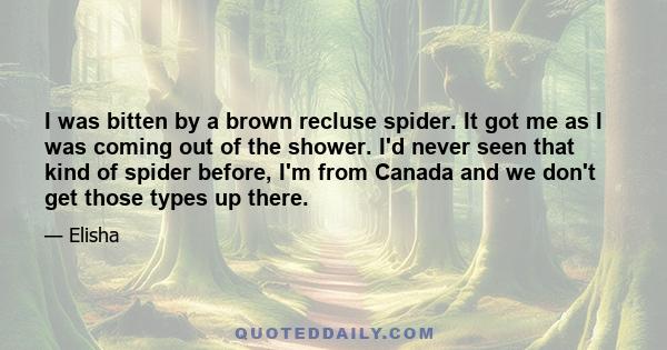 I was bitten by a brown recluse spider. It got me as I was coming out of the shower. I'd never seen that kind of spider before, I'm from Canada and we don't get those types up there.