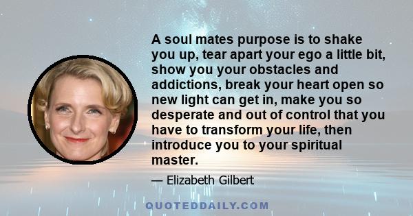 A soul mates purpose is to shake you up, tear apart your ego a little bit, show you your obstacles and addictions, break your heart open so new light can get in, make you so desperate and out of control that you have to