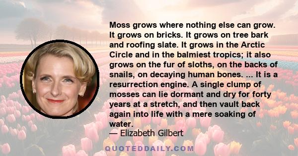 Moss grows where nothing else can grow. It grows on bricks. It grows on tree bark and roofing slate. It grows in the Arctic Circle and in the balmiest tropics; it also grows on the fur of sloths, on the backs of snails,
