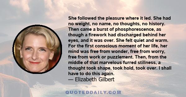 She followed the pleasure where it led. She had no weight, no name, no thoughts, no history. Then came a burst of phosphorescence, as though a firework had discharged behind her eyes, and it was over. She felt quiet and