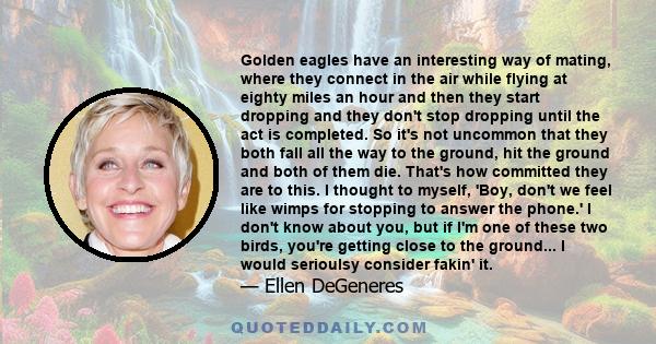 Golden eagles have an interesting way of mating, where they connect in the air while flying at eighty miles an hour and then they start dropping and they don't stop dropping until the act is completed. So it's not