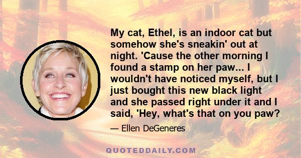 My cat, Ethel, is an indoor cat but somehow she's sneakin' out at night. 'Cause the other morning I found a stamp on her paw... I wouldn't have noticed myself, but I just bought this new black light and she passed right