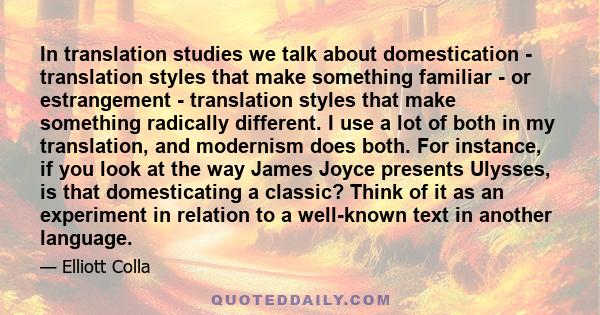 In translation studies we talk about domestication - translation styles that make something familiar - or estrangement - translation styles that make something radically different. I use a lot of both in my translation,