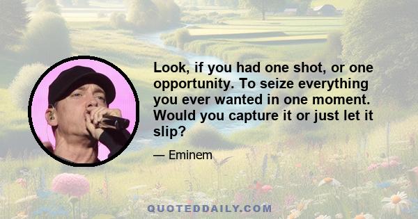 Look, if you had one shot, or one opportunity. To seize everything you ever wanted in one moment. Would you capture it or just let it slip?