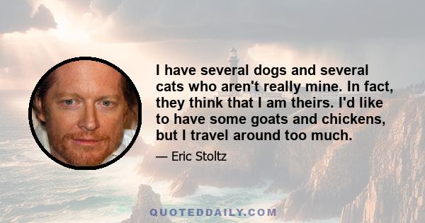 I have several dogs and several cats who aren't really mine. In fact, they think that I am theirs. I'd like to have some goats and chickens, but I travel around too much.