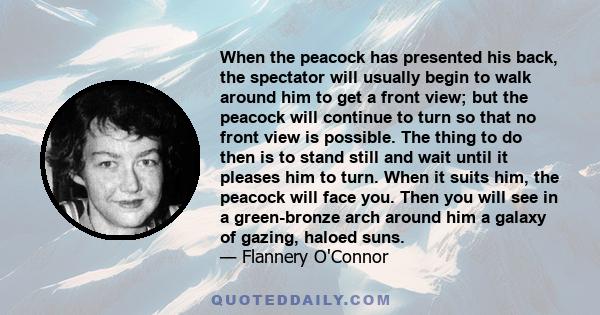 When the peacock has presented his back, the spectator will usually begin to walk around him to get a front view; but the peacock will continue to turn so that no front view is possible. The thing to do then is to stand