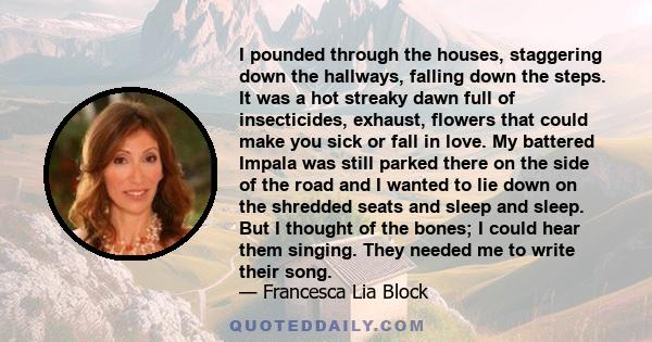 I pounded through the houses, staggering down the hallways, falling down the steps. It was a hot streaky dawn full of insecticides, exhaust, flowers that could make you sick or fall in love. My battered Impala was still