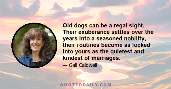 Old dogs can be a regal sight. Their exuberance settles over the years into a seasoned nobility, their routines become as locked into yours as the quietest and kindest of marriages.