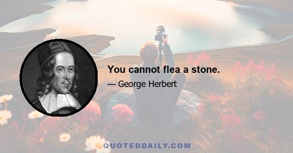 You cannot flea a stone.