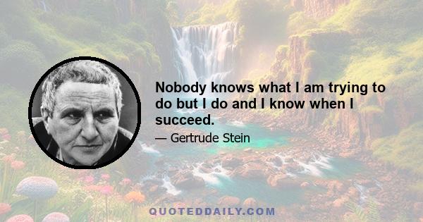 Nobody knows what I am trying to do but I do and I know when I succeed.