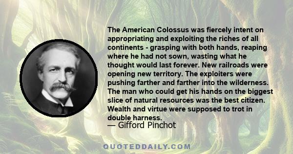 The American Colossus was fiercely intent on appropriating and exploiting the riches of all continents - grasping with both hands, reaping where he had not sown, wasting what he thought would last forever. New railroads