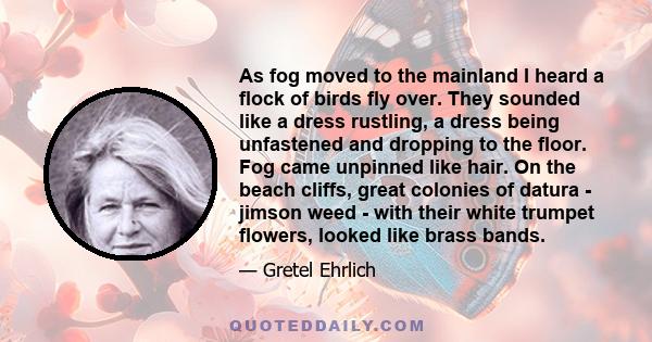 As fog moved to the mainland I heard a flock of birds fly over. They sounded like a dress rustling, a dress being unfastened and dropping to the floor. Fog came unpinned like hair. On the beach cliffs, great colonies of
