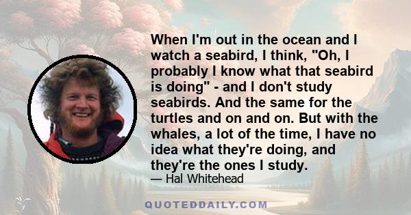 When I'm out in the ocean and I watch a seabird, I think, Oh, I probably I know what that seabird is doing - and I don't study seabirds. And the same for the turtles and on and on. But with the whales, a lot of the