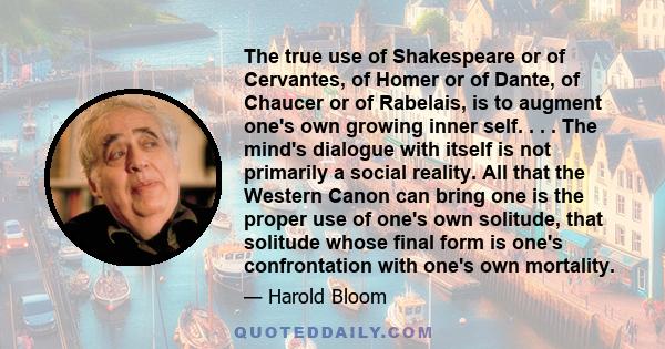 The true use of Shakespeare or of Cervantes, of Homer or of Dante, of Chaucer or of Rabelais, is to augment one's own growing inner self. . . . The mind's dialogue with itself is not primarily a social reality. All that