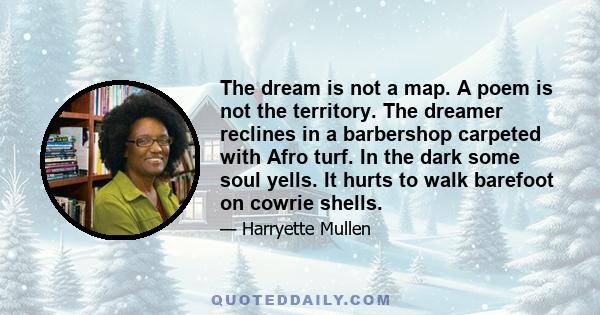 The dream is not a map. A poem is not the territory. The dreamer reclines in a barbershop carpeted with Afro turf. In the dark some soul yells. It hurts to walk barefoot on cowrie shells.