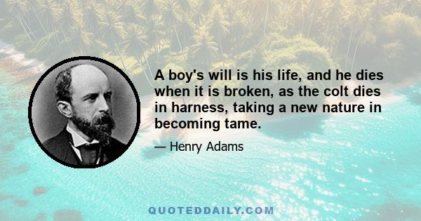 A boy's will is his life, and he dies when it is broken, as the colt dies in harness, taking a new nature in becoming tame.