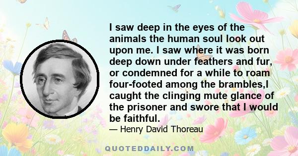 I saw deep in the eyes of the animals the human soul look out upon me. I saw where it was born deep down under feathers and fur, or condemned for a while to roam four-footed among the brambles,I caught the clinging mute