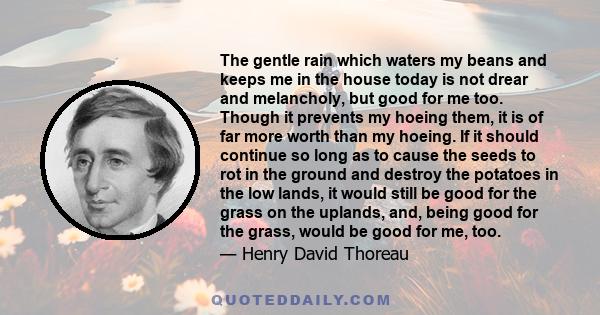 The gentle rain which waters my beans and keeps me in the house today is not drear and melancholy, but good for me too. Though it prevents my hoeing them, it is of far more worth than my hoeing. If it should continue so
